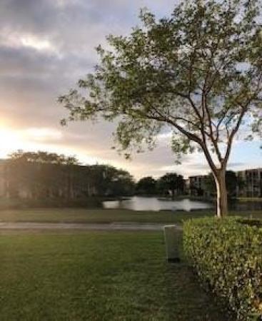 Whitehall 2 Of Pine Island Ridge, 1713 Whitehall Dr #303, Davie, Florida 33324, image 2