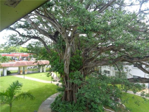 Ola, 15201 NE 6th Ave #c307, Golden Glades, Florida 33162, image 1