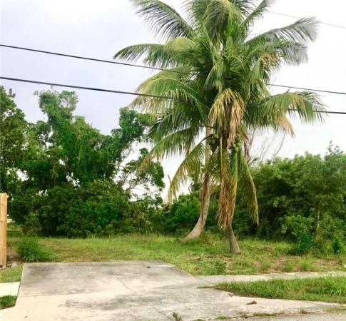 Del Ida Park, 511 NE 3rd Ave, Delray Beach, Florida 33444, image 2