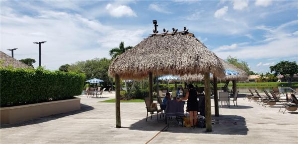 Weston Lakes 21, 422 Lakeview Dr #204, Weston, Florida 33326, image 1
