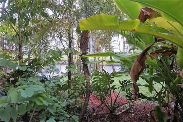 Paragon Plantation, 751 N Pine Island Rd #103, Plantation, Florida 33324, image 1