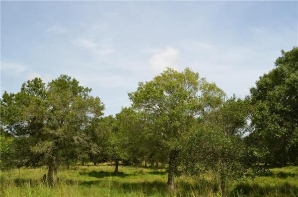 Phillip Monroe Acres,  W Midway Rd, Fort Pierce, Florida 34945, image 1