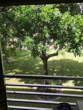 Lakewood On The Green, 5525 Lakewood Cir N #225, Margate, Florida 33063, image 1
