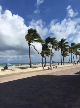Hollywood Beach Resort, 101 N Ocean Dr #411, Hollywood, Florida 33019, image 1