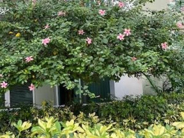 The Moorings At Lantana, 804 E Windward Way #101, Lantana, Florida 33462, image 1