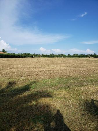 Redland No HOA, 14402 SW 179th Ave, Redland, Florida 33196, image 1