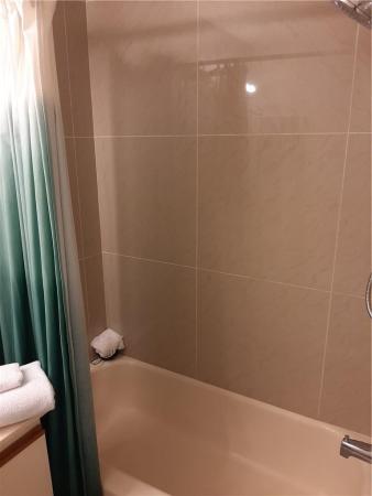 Embassy Square, 2606 Congressional Way, Deerfield Beach, Florida 33442, image 2