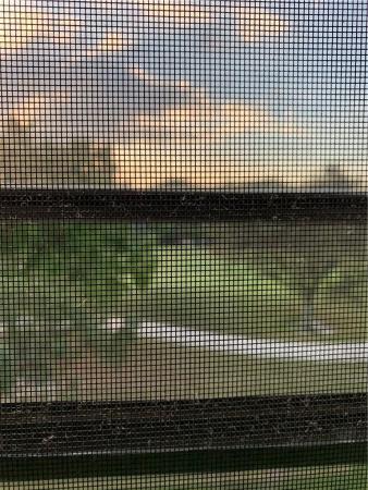 Whitehall 2 Of Pine Island Ridge, 1711 Whitehall Dr #306, Davie, Florida 33324, image 1