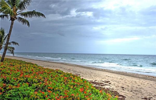 Monterey House, 3114 S Ocean Blvd #207, Highland Beach, Florida 33487, image 2