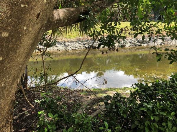 Royal River, 2901 Riverside Dr #101, Coral Springs, Florida 33065, image 2