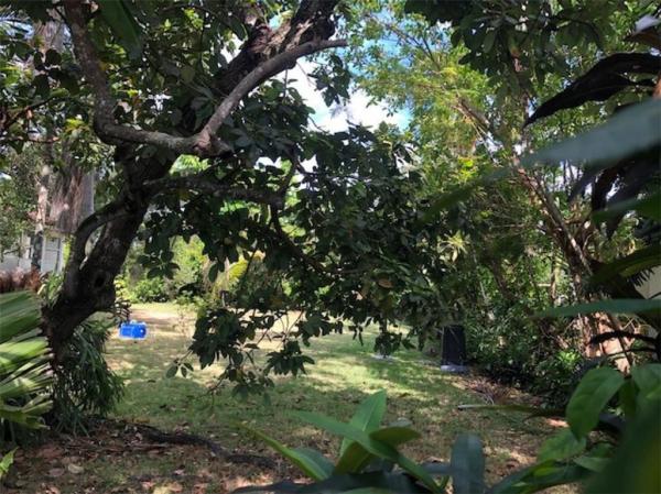 Coral Estates, 730 Zamora Ave, Coral Gables, Florida 33134, image 1