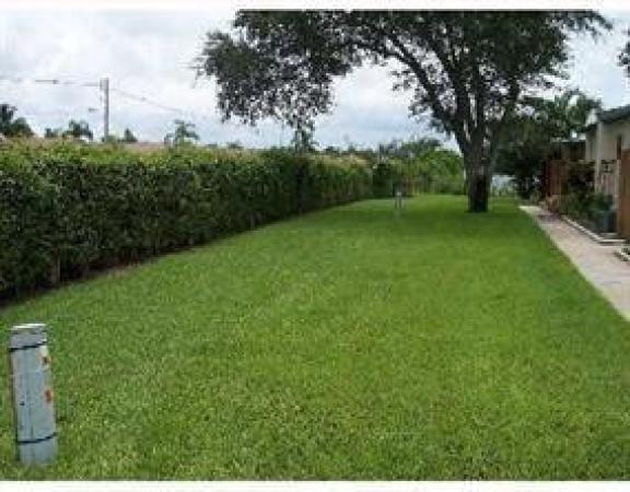 Tree Lake, 1057 Manor Dr, Palm Springs, Florida 33461, image 1