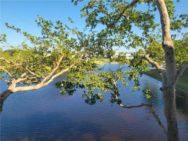 Weldon, 9563 Weldon Cir #D313, Tamarac, Florida 33321, image 1