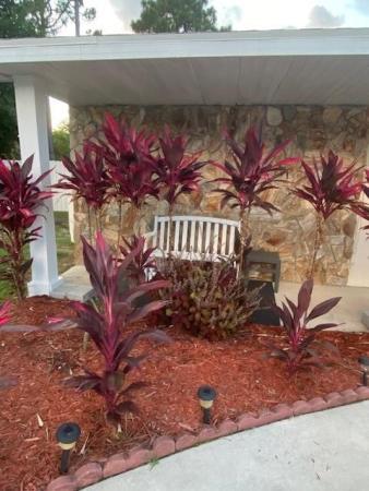 Hidden Oaks, 2900 SW Bridge St, Port St. Lucie, Florida 34953, image 1