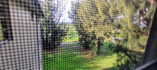 Arrowhead, 2510 SW 81st Ave #408, Davie, Florida 33324, image 3