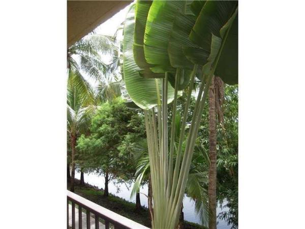 Paragon Plantation, 751 N Pine Island Rd #205, Plantation, Florida 33324, image 1