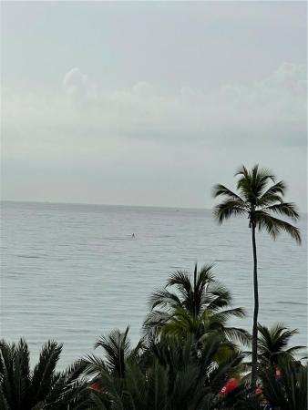 Crystal Tower, 322 Buchanan St #500, Hollywood, Florida 33019, image 3