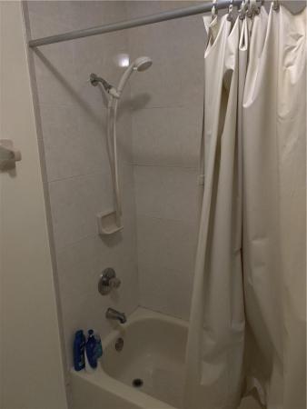 12764 SW 209th Ln, Unincorporated Dade County, Florida 33177, image 1