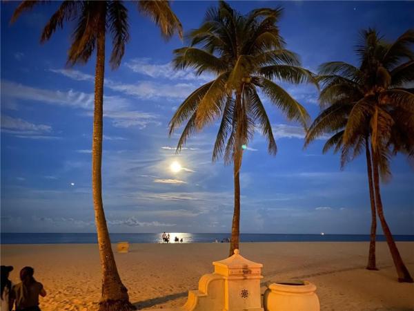 Ocean Surf, 320 Virginia St #10, Hollywood, Florida 33019, image 1