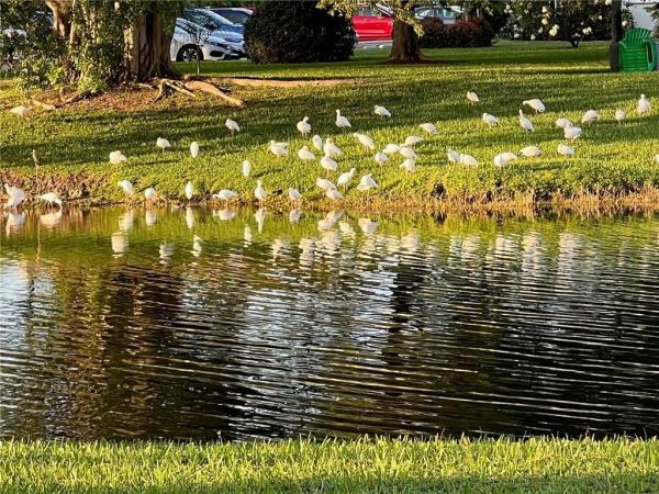 Cambridge, 3125 Cambridge F, Deerfield Beach, Florida 33442, image 2