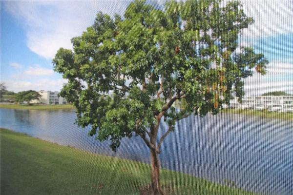 Harwood, 3063 Harwood E, Deerfield Beach, Florida 33442, image 1