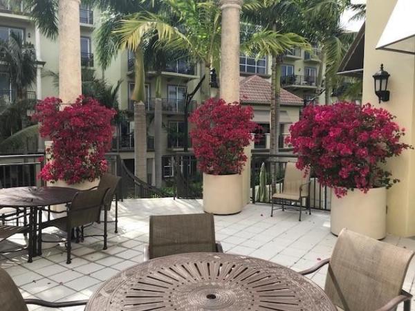 Wilton Station, 2625 NE 14th Ave #501, Wilton Manors, Florida 33334, image 2
