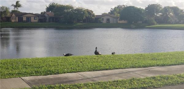 The Meadows Of Miramar, 9620 W Daffodil Ln, Miramar, Florida 33025, image 3