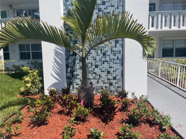 Harwood, 3029 Harwood D, Deerfield Beach, Florida 33442, image 1