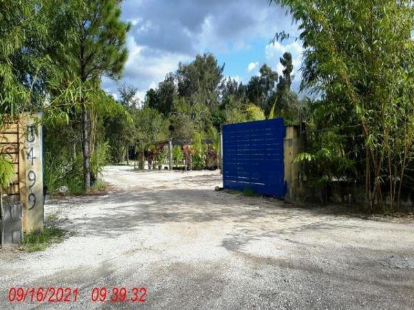 Newmans Survey, 5499 SW 49th St, Davie, Florida 33314, image 1