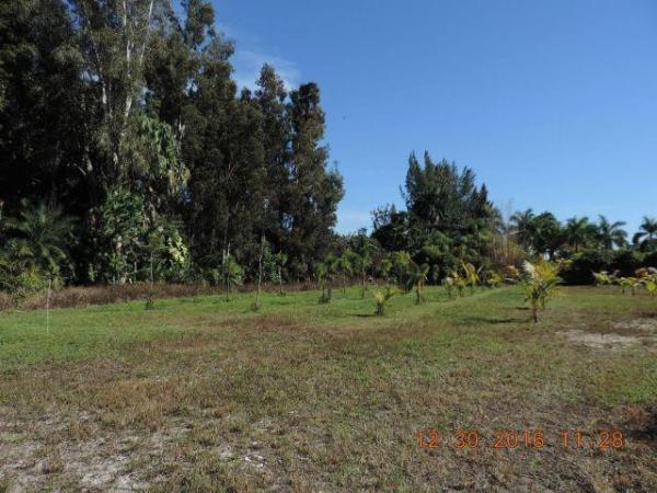 Newmans Survey, 5499 SW 49th St, Davie, Florida 33314, image 2