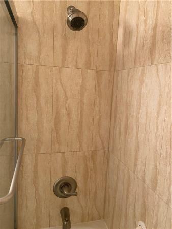 Prescott, 34 Prescott B, Deerfield Beach, Florida 33442, image 3