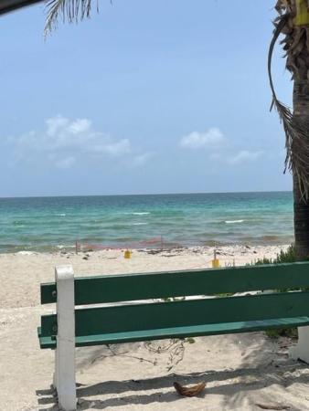 Hollywood Central Beach, 349 Walnut St, Hollywood, Florida 33019, image 2