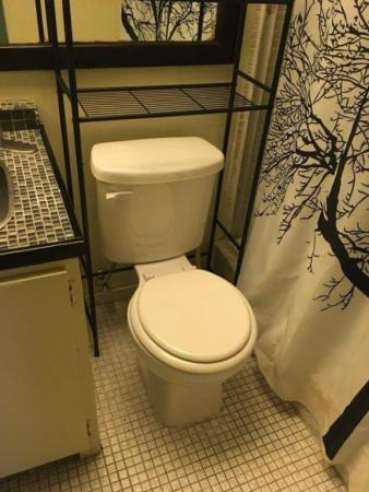 Majestic Gardens, 4046 NW 19th St #406, Lauderhill, Florida 33313, image 1