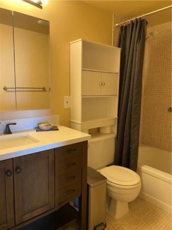 Ventnor, 4071 Ventnor P, Deerfield Beach, Florida 33442, image 3