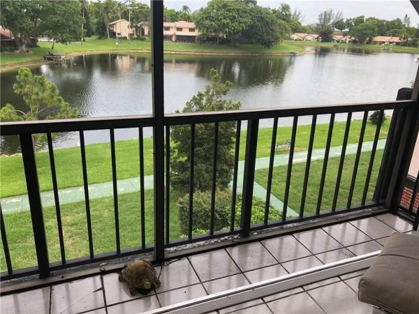 International Village At Inverrary, 3730 Inverrary Dr #3W, Lauderhill, Florida 33319, image 1