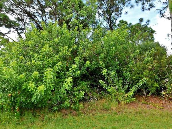 Torino, 5655 NW Krin Ct, Port St. Lucie, Florida 34986, image 1