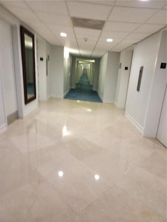 Playa Del Mar, 3900 Galt Ocean Dr #1109, Fort Lauderdale, Florida 33308, image 1