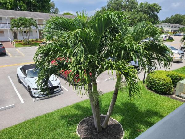 Century Village East, 37 Newport B, Deerfield Beach, Florida 33442, image 2