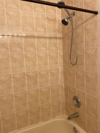 Caribbean Isles Villas, 372 NE 26th Pl #204, Homestead, Florida 33033, image 2