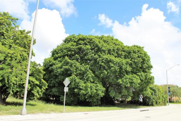 Carver Heights, 583 S Dixie Hwy, Deerfield Beach, Florida 33441, image 3