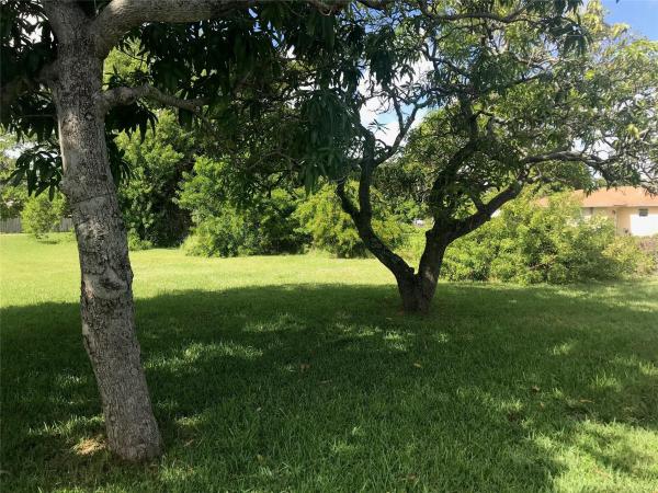 Dania Beach Residential, 65 NW 13th Ave AVENUE, Dania Beach, Florida 33004, image 1