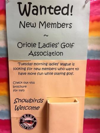 Oriole Golf & Tennis Club 2, 1055 Country Club Dr #409, Margate, Florida 33063, image 1