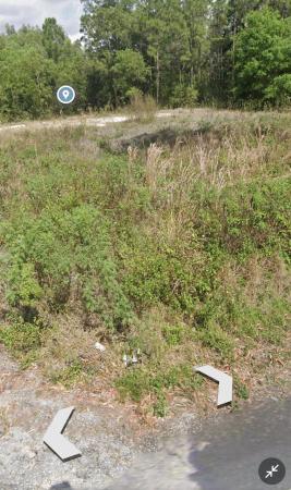 The Acreage, 17089 W Alan Black Blvd, Loxahatchee, Florida 33470, image 2