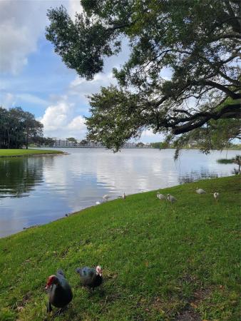 Sailboat Pointe, 2465 NW 33rd St #1508, Oakland Park, Florida 33309, image 1
