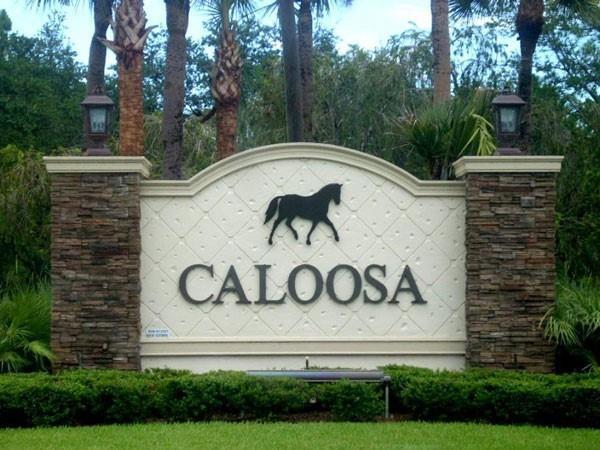 Caloosa, 13945 Coco Plum Rd ROAD, Palm Beach Gardens, Florida 33418, image 1