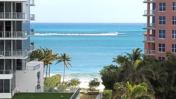 White Egret, 2200 NE 33rd Ave #8G, Fort Lauderdale, Florida 33305, image 1