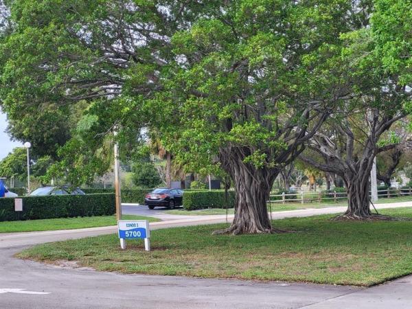 Boca Teeca, 5700 NW 2nd Ave #605, Boca Raton, Florida 33487, image 1