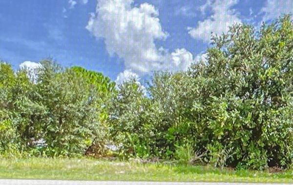 Oak Hammock, 1574 SW Leisure Ln, Port St. Lucie, Florida 34953, image 2