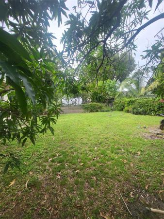 Griffins, 335 NW 43rd St, Miami, Florida 33127, image 3