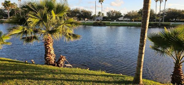 Embassy Place At Embassy Lakes, 10400 Buenos Aires St, Hollywood, Florida 33026, image 1